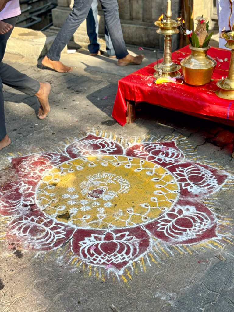 2026年タミル・タイ・ポンガルの寺院のコーラム、朱色と黄色の伝統的なデザイン