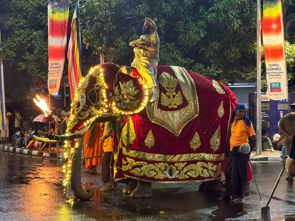 2026年 ナワンポーヤ ペラヘラの象 豪華な刺繍の衣装