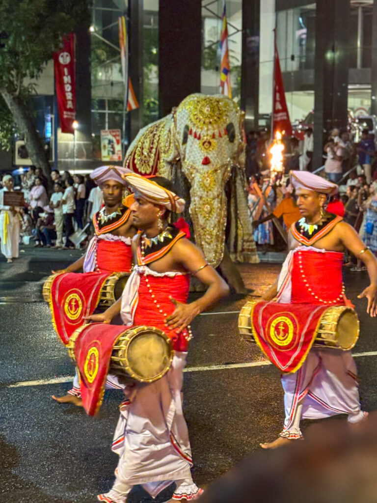 2026年 ナワン・ペラヘラ 伝統舞踊の太鼓隊 コロンボ