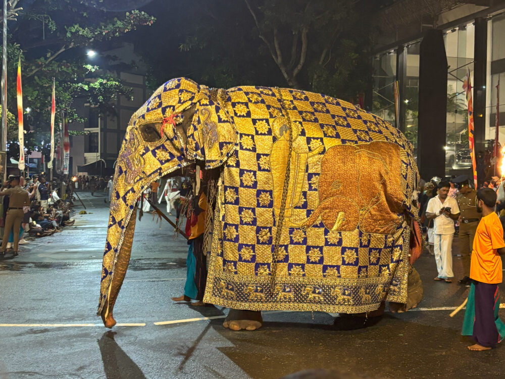 2026年 ナワン・ペラヘラ 装飾された象 コロンボ