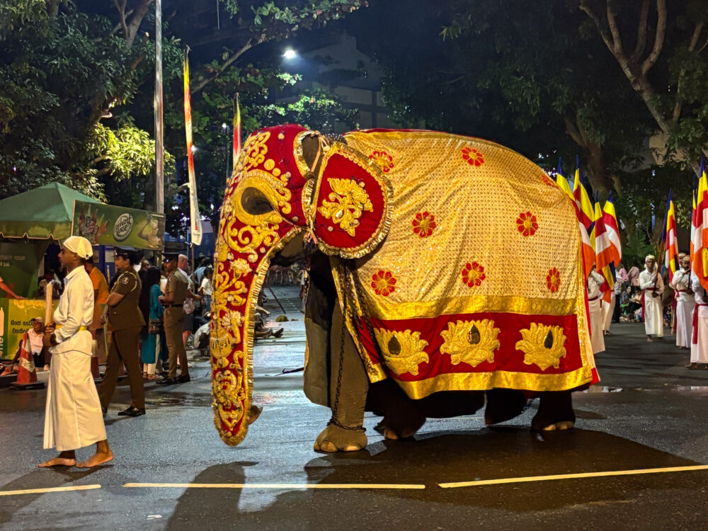 2026年 ナワンポーヤ ペラヘラの象 豪華な刺繍の衣装