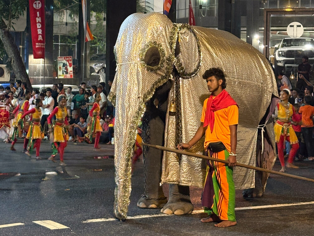 2026年 ガンガラーマ寺院 ナワン・ペラヘラに参加する象