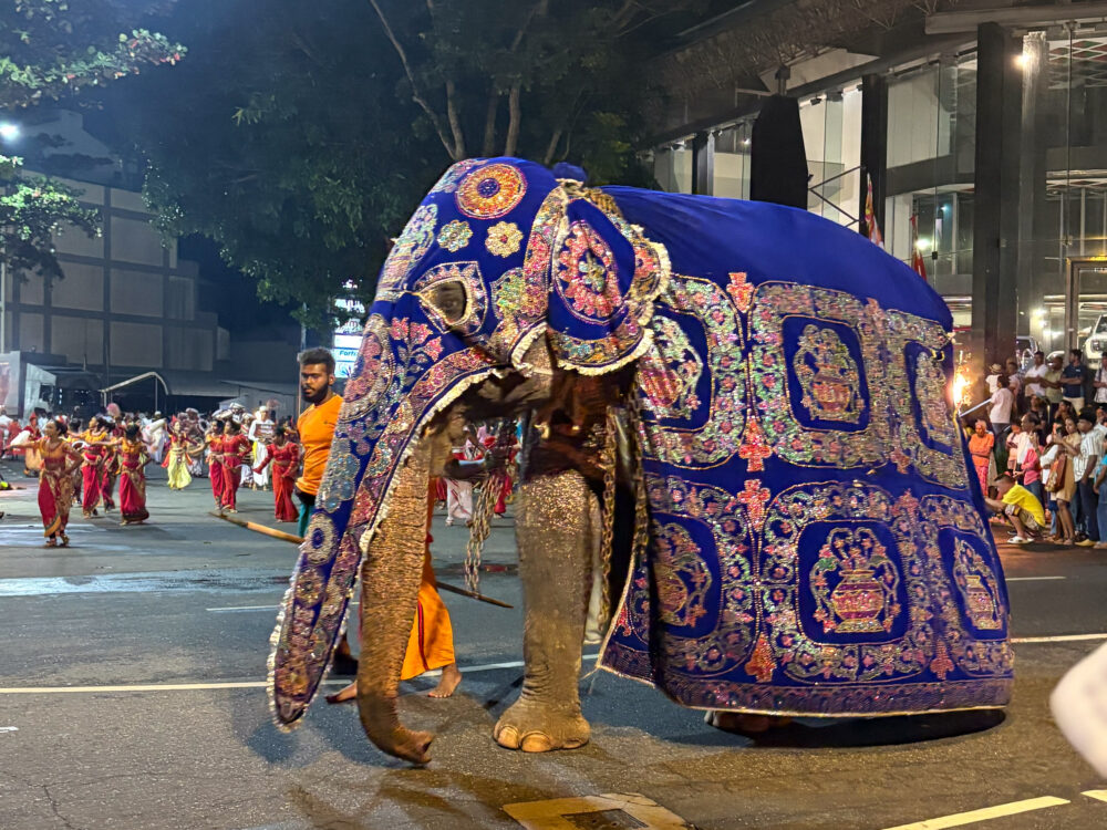 2026年 コロンボ ナワン・ペラヘラ 色鮮やかな衣装の象
