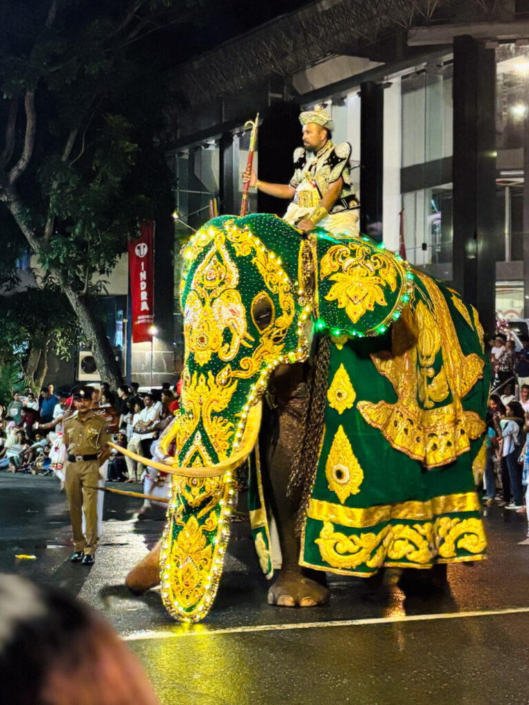 2026年 ナワン・ペラヘラ 装飾された象 コロンボ