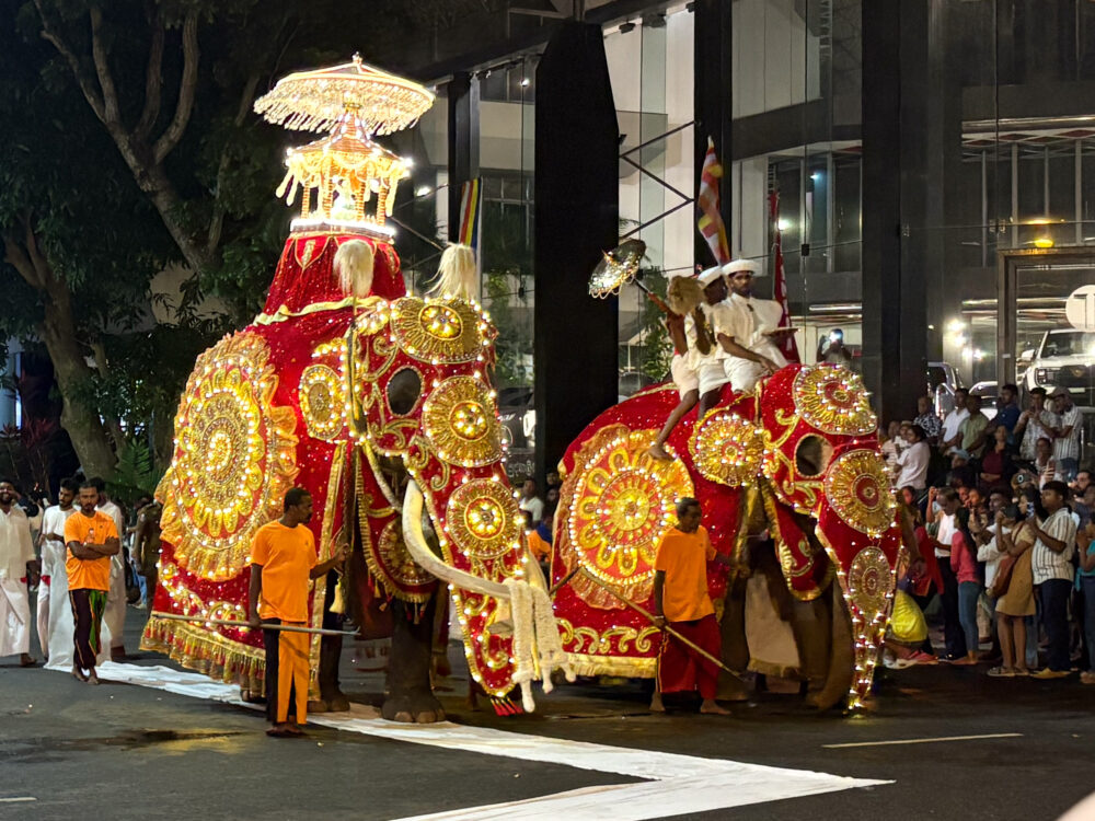 2026年 コロンボ ナワン・ペラヘラ 色鮮やかな衣装の象