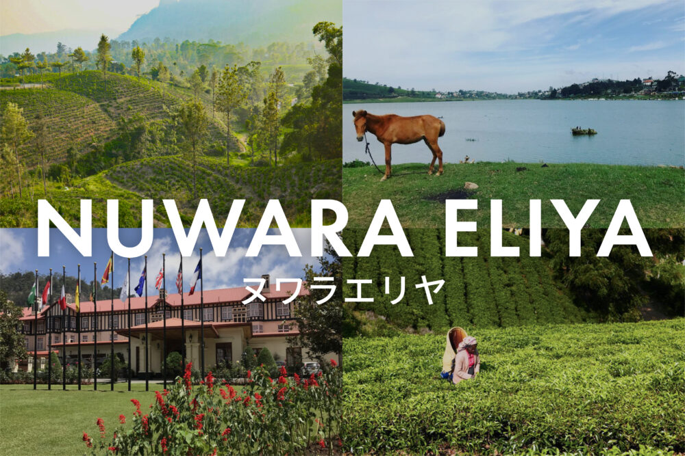 nuwara eliya guide